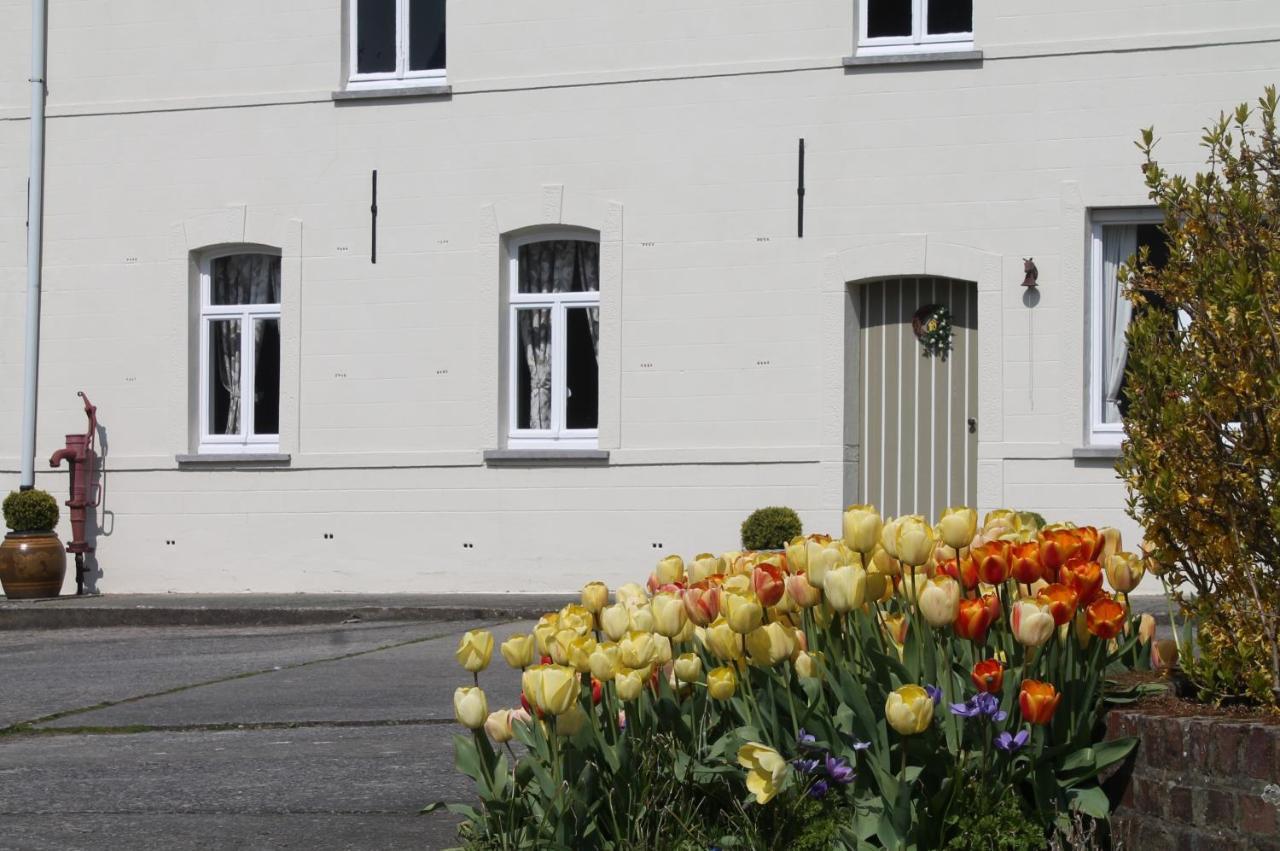 Molenbergrust Villa Zwalm Kültér fotó
